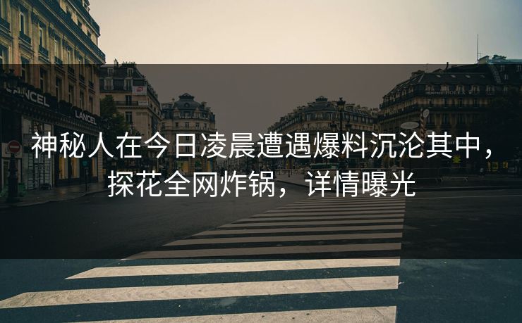神秘人在今日凌晨遭遇爆料沉沦其中，探花全网炸锅，详情曝光