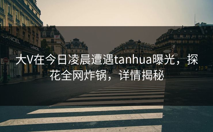 大V在今日凌晨遭遇tanhua曝光，探花全网炸锅，详情揭秘