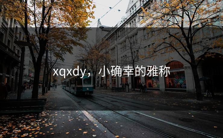 xqxdy，小确幸的雅称