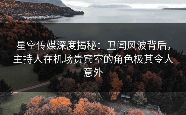 星空传媒深度揭秘：丑闻风波背后，主持人在机场贵宾室的角色极其令人意外